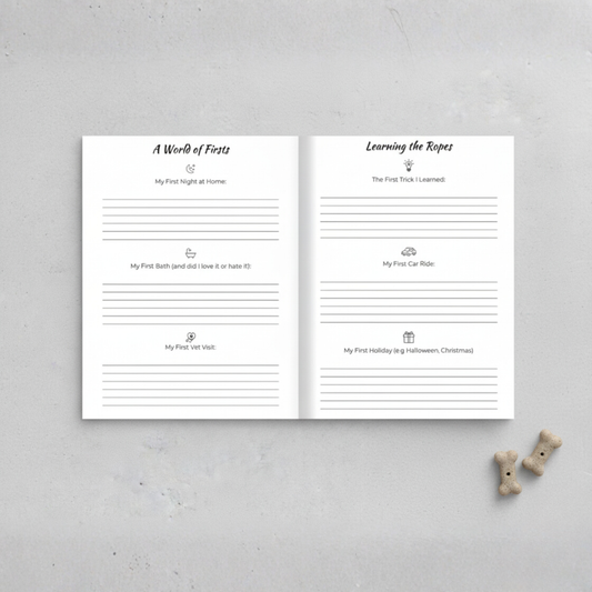 4e2f6cde-98a5-4be4-a011-2f38f2907732