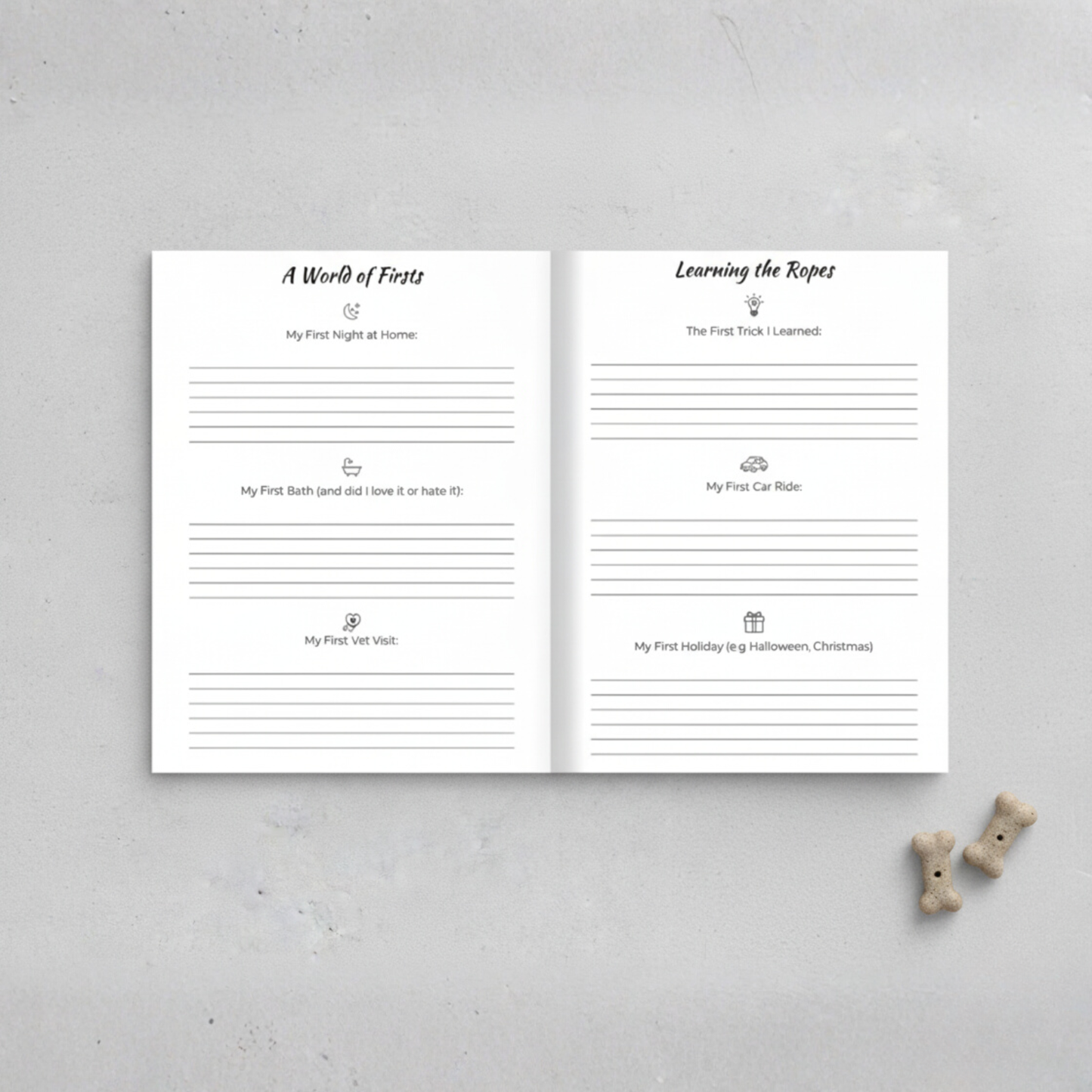 4e2f6cde-98a5-4be4-a011-2f38f2907732