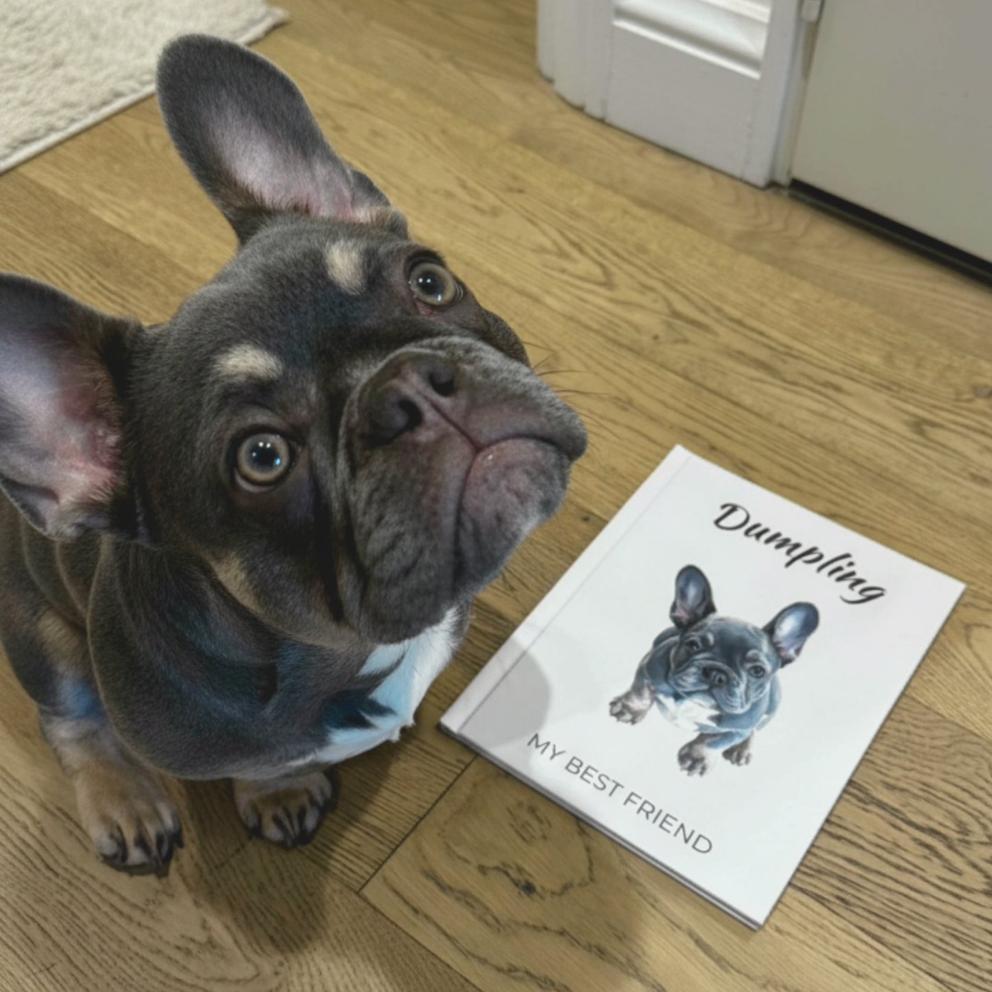 9f418d85-d6a1-4c83-b525-ac65b5585051